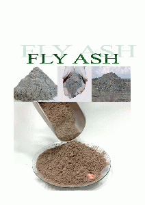 Fly Ash