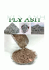 Fly Ash